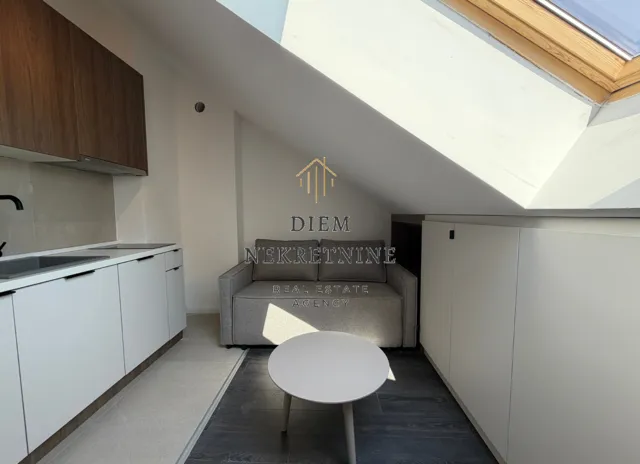 Small living room with a sofa and a built-in kitchen in the attic.