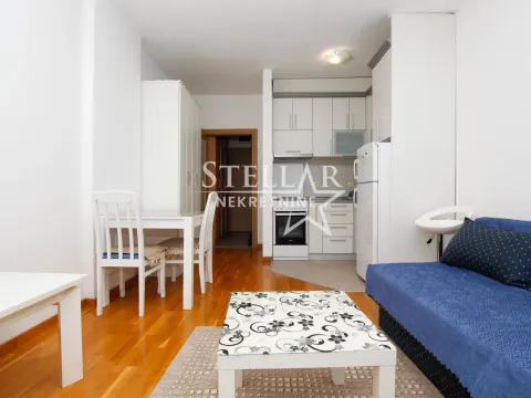 Rent, studio apartment, 30m², Tuški Put, Podgorica - image 2