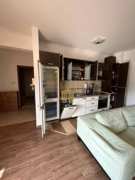 Otvoreni prostor sa kuhinjom i dnevnim boravkom. - image 5