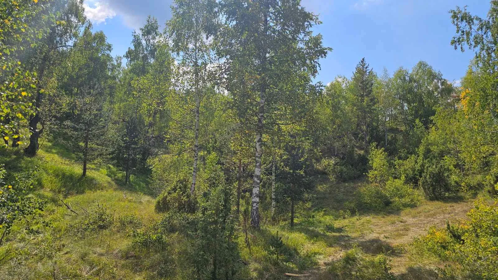 Prodaja, plac, 900m², Žabljak, Crna Gora