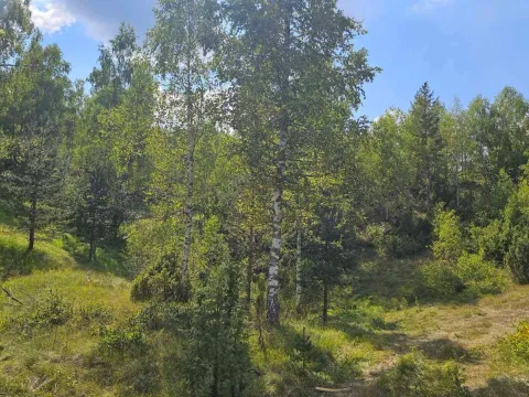 Prodaja, plac, 900m², Žabljak, Crna Gora - image 2