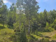 Sale, land lot, 900m², Žabljak, Crna Gora - image 2