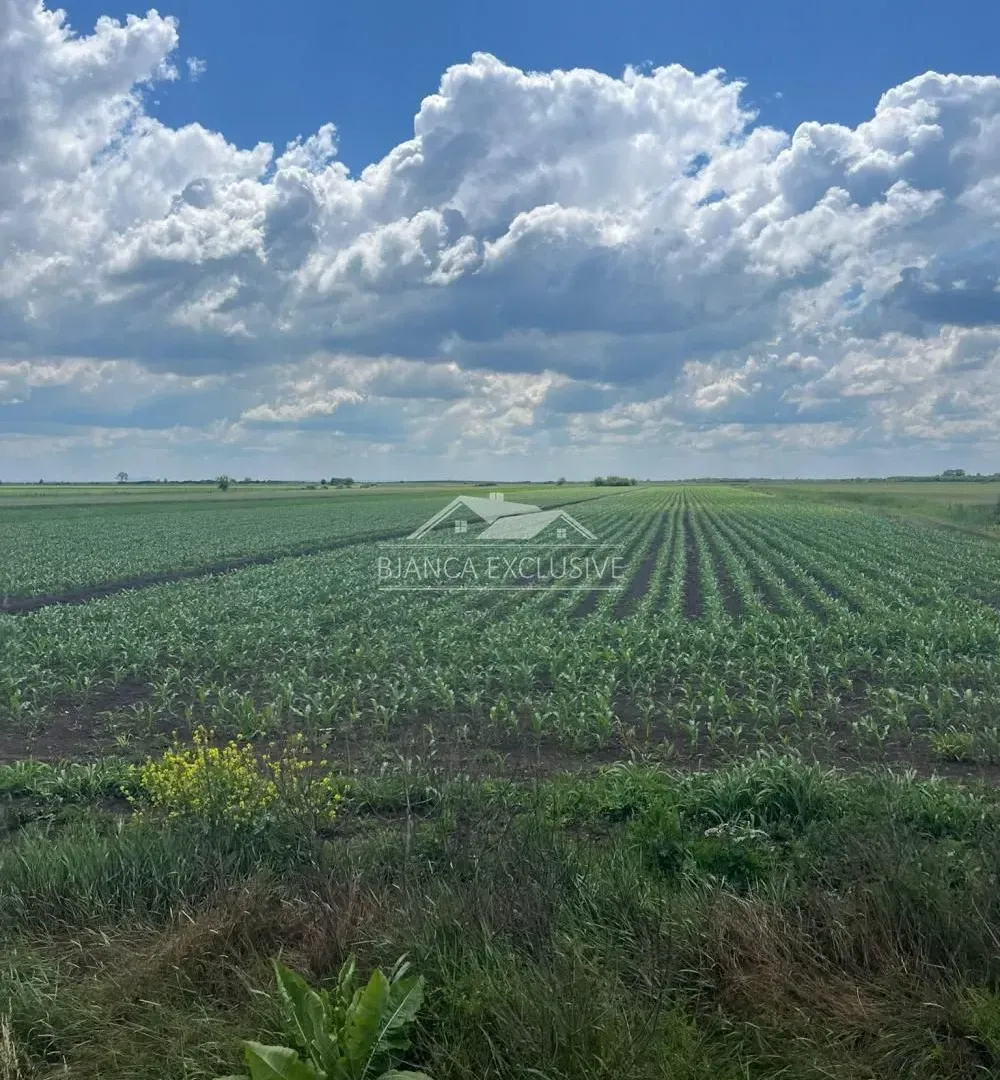 Prodaja, plac, 24200m², Pecinci, Srbija