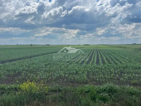 Prodaja, plac, 24200m², Pecinci, Srbija - image 9