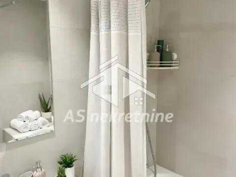 Izdavanje, dvosoban stan, 56m², Savski Venac, Beograd - image 20