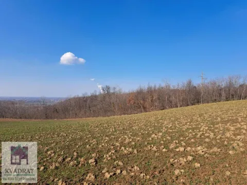 Sale, land lot, 6500m², Mislodjin, Obrenovac - image 2