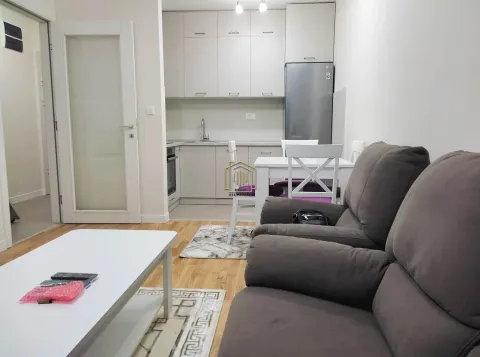 Rent, one bedroom apartment, 40m², Pobrežje, Podgorica - image 8