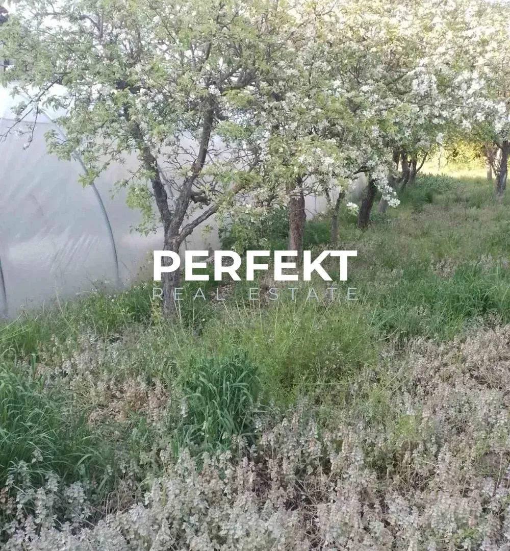 Prodaja, kuća, 200m², Banatsko Novo Selo, Pančevo