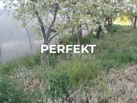 Prodaja, kuća, 200m², Banatsko Novo Selo, Pančevo - image 7