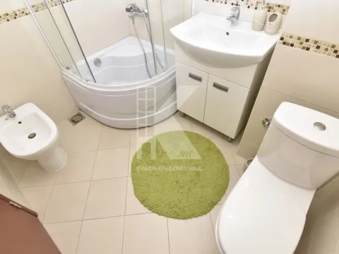 Izdavanje, jednosoban stan, 48m², Stari Aerodrom, Podgorica - image 10