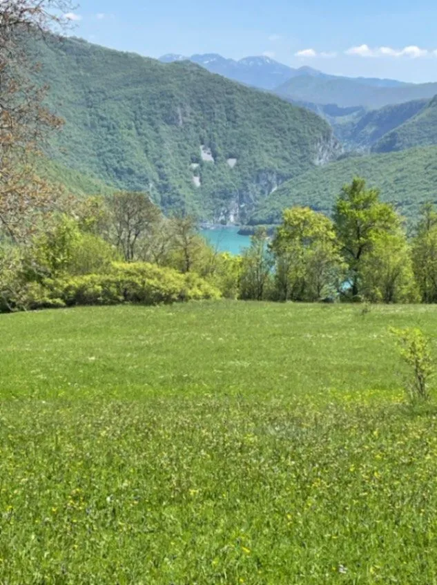 Prodaja, plac, 15000m², Donja Brezna, Plužine