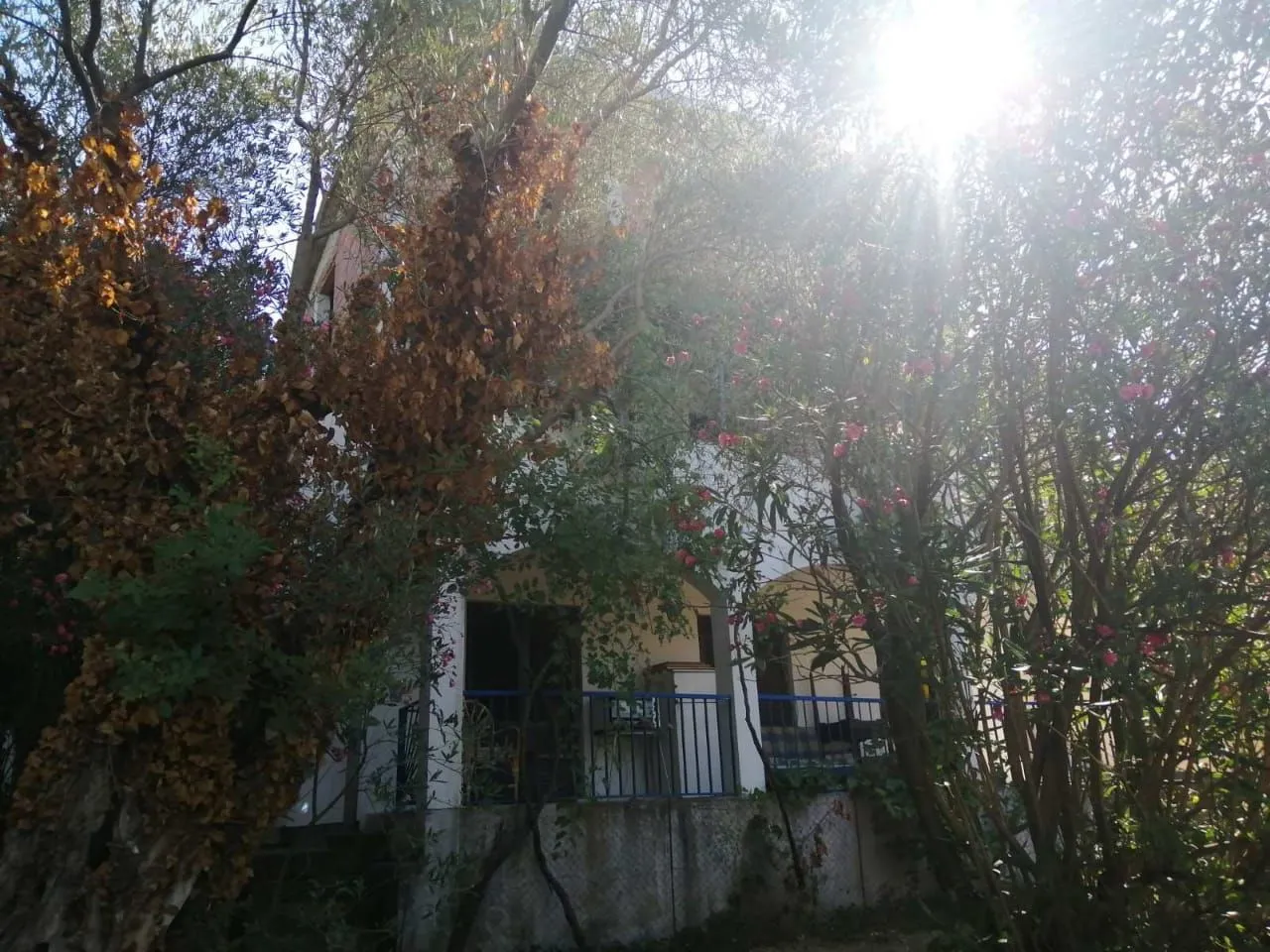 Sale, house, 270m², Kamenovo, Budva