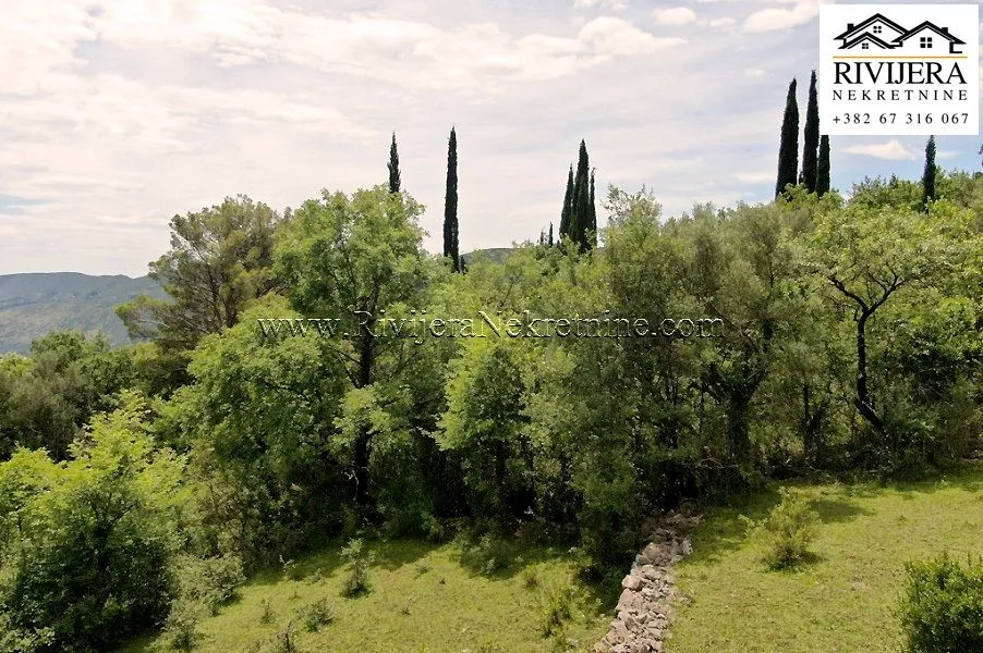 Prodaja, plac, 7325m², Mojdež, Herceg Novi