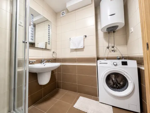Kupatilo opremljeno umivaonikom, tuš kabinom, veš mašinom i bojlerom. - image 3
