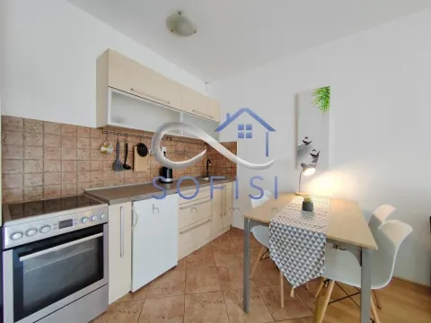 Izdavanje, jednosoban stan, 38m², Centar, Novi Sad - image 11