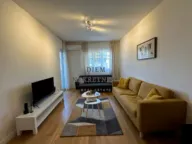 Izdavanje, jednosoban stan, 47m², Central Point, Podgorica - image 1