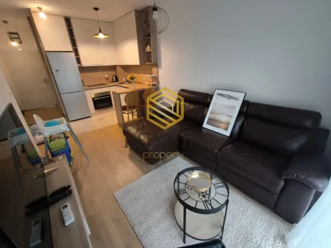 Izdavanje, jednosoban stan, 37m², Central Point, Podgorica - image 3