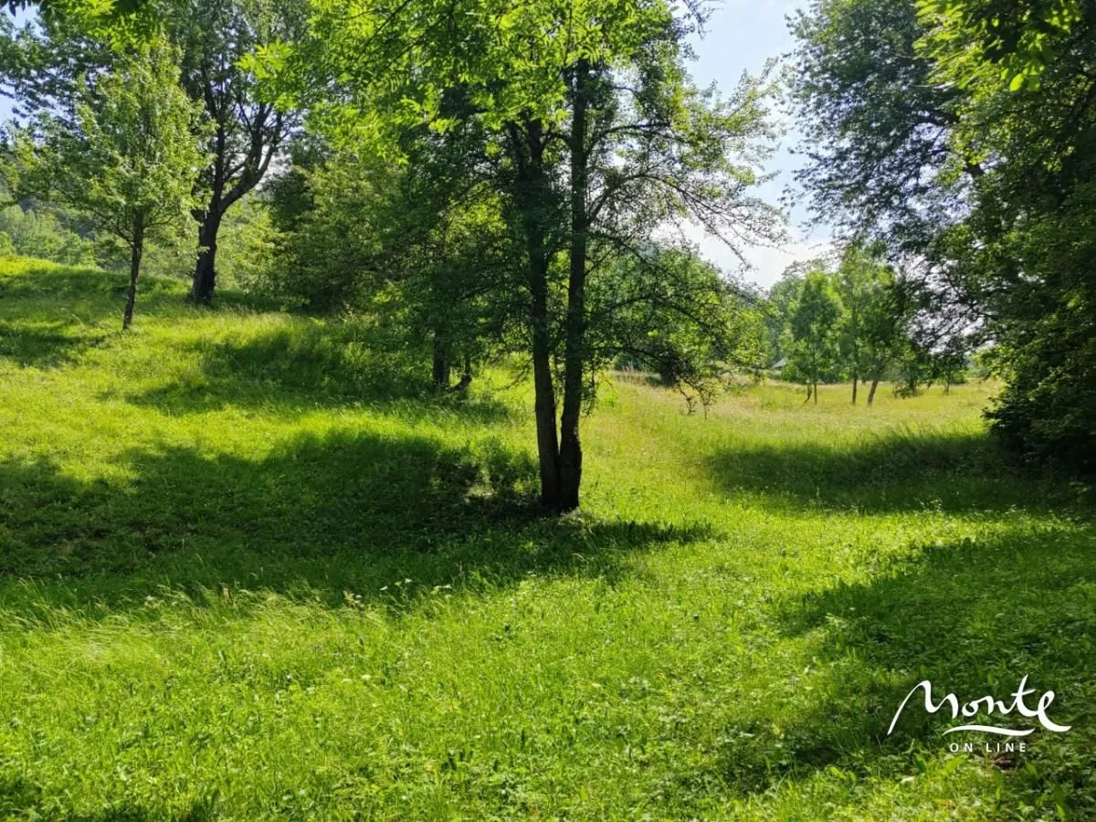 Prodaja, plac, 1313m², Drpe, Kolašin