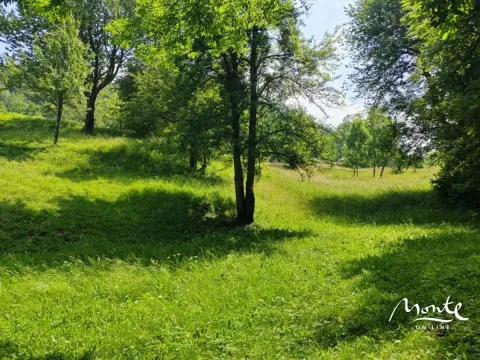 Sale, land lot, 1313m², Drpe, Kolašin - image 11