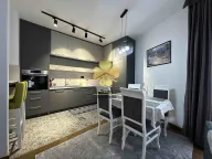 Izdavanje, jednosoban stan, 70m², Podgorica, Crna Gora - image 4