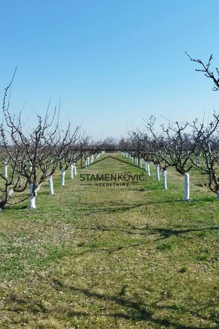 Prodaja, plac, 4636m², Sremska Mitrovica, Srbija
