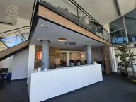 Izdavanje, poslovni prostor, 280m², Telep, Novi Sad Sve Podlokacije