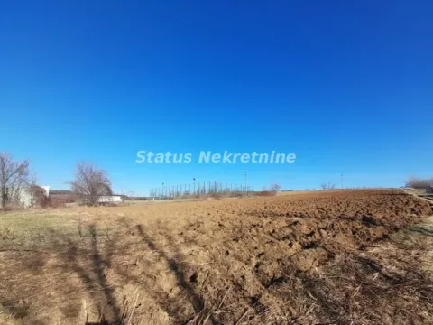 Prodaja, plac, 5479m², Banja Vrdnik, Irig - image 6