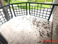 Izdavanje, poslovni prostor, 206m², Batajnica, Beograd - image 17