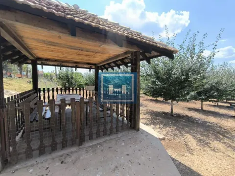 Prodaja, kuća, 250m², Ćuprija, Srbija - image 13