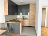 Izdavanje, jednosoban stan, 47m², Zabjelo, Podgorica - image 2