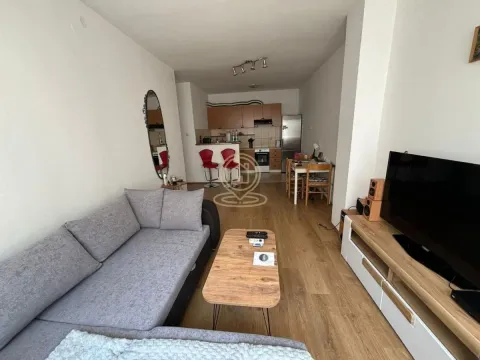 Izdavanje, jednosoban stan, 47m², Novi Sad, Srbija - image 5