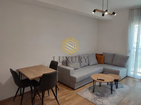 Rent, one bedroom apartment, 36m², Stari Aerodrom, Podgorica - image 11