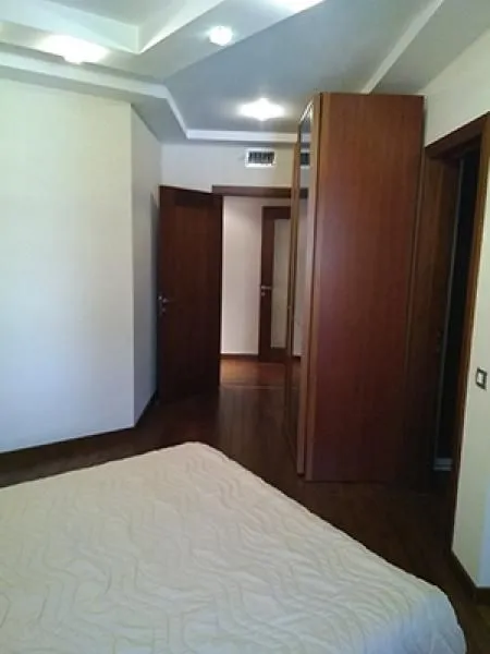 Izdavanje, četvorosoban stan, 270m², Vračar Hram, Vračar Sve Podlokacije
