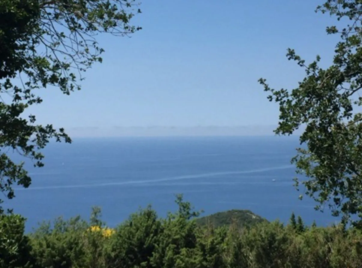 Prodaja, plac, 304m², Blizikuće, Budva