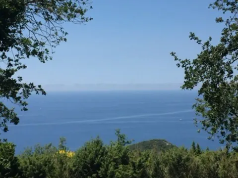 Prodaja, plac, 304m², Blizikuće, Budva - image 2