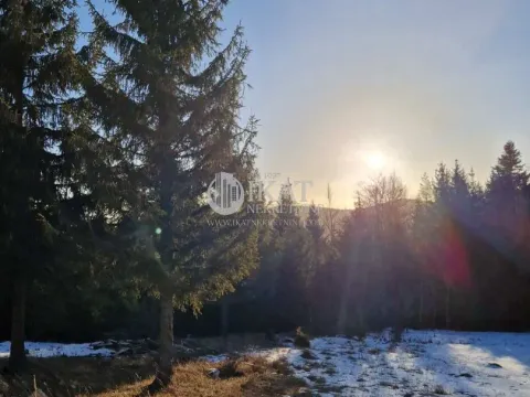 Sale, land lot, 1100m², Tara, Srbija - image 4