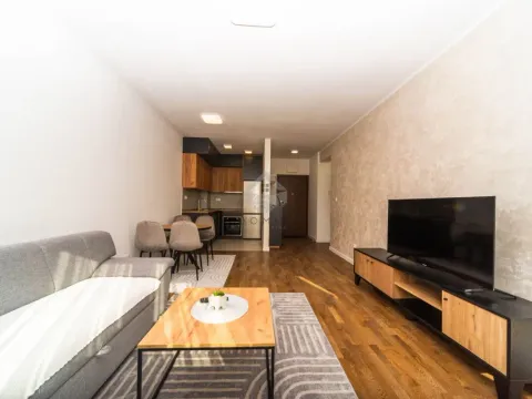 Rent, one bedroom apartment, 48m², Stari Aerodrom, Podgorica - image 2