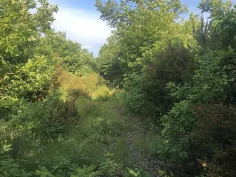 Sale, land lot, 18900m², Velja Gorana, Bar - image 10