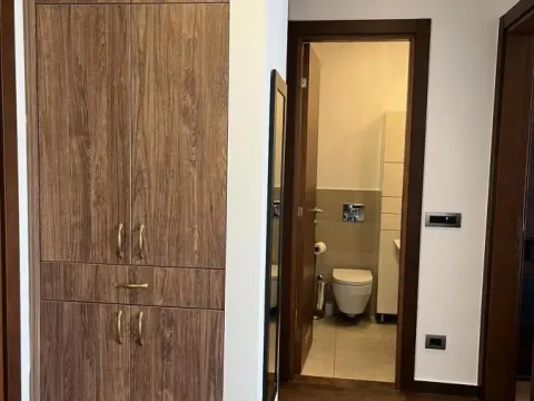 Izdavanje, dvosoban stan, 45m², Zvezdara Sve Podlokacije, Beograd - image 8