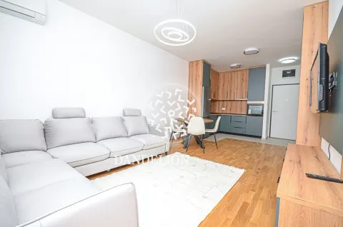 Rent, one bedroom apartment, 59m², Central Point, Podgorica - image 989