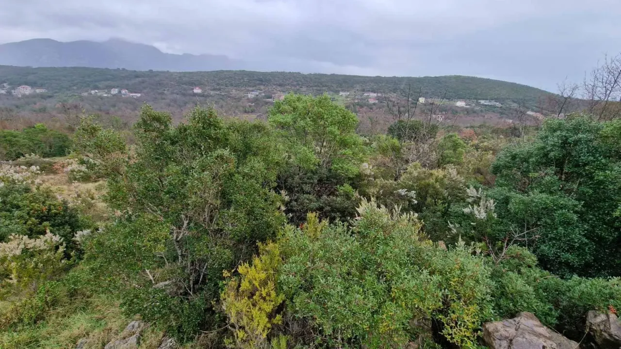 Sale, land lot, 1575m², Višnjevo, Kotor