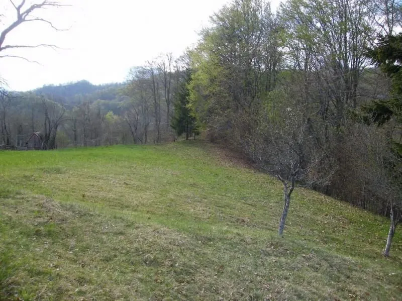 Prodaja, plac, 23600m², Kolašin, Crna Gora