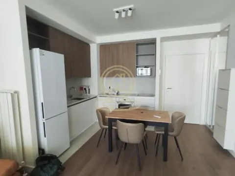 Izdavanje, dvosoban stan, 55m², Savski Venac, Beograd - image 16