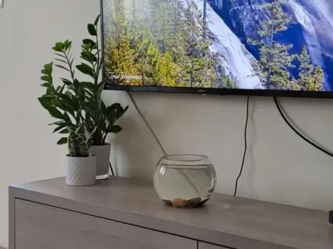 Prodaja, dvosoban stan, 72m², Podgorica, Crna Gora - image 3