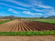 Sale, land lot, 6077m², Miločani, Nikšić - image 3