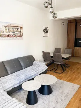 Izdavanje, jednosoban stan, 48m², Zabjelo, Podgorica - image 5