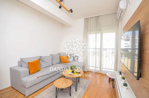 Rent, one bedroom apartment, 59m², Central Point, Podgorica - image 1184