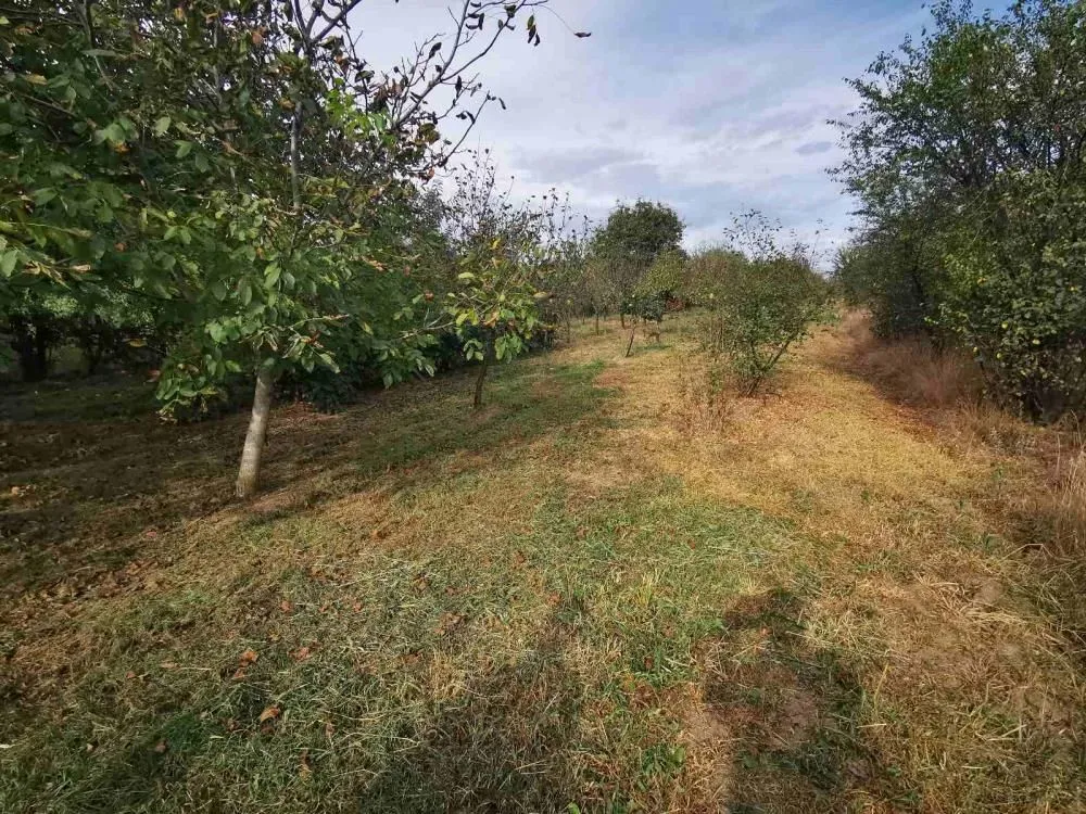 Sale, house, 65m², Kovačevac, Jagodina