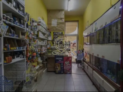 Rent, office space, 33m², Detelinara, Novi Sad Sve Podlokacije - image 4