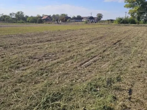 Prodaja, plac, 750m², Kisač, Novi Sad Sve Podlokacije - image 2